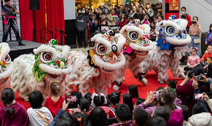 Lunar New Year Celebration