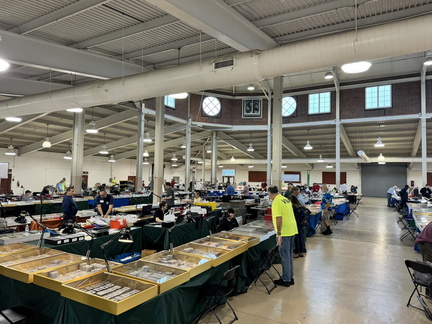 Coin Show