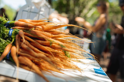 Palafox Market