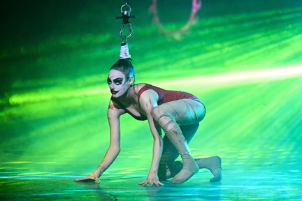 Paranormal Cirque1