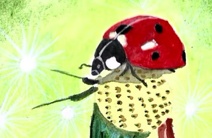 ILLUSTRATIONS Exhibit.v1.v1