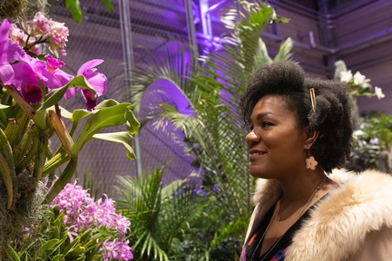 Orchid Nights 2023