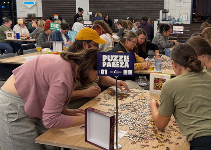 Puzzlepalooza