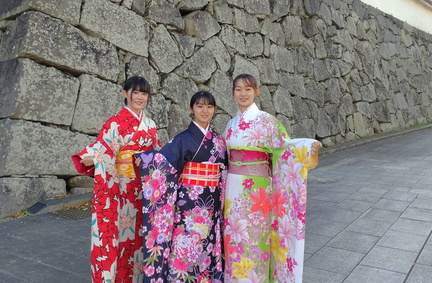 Plum Festival