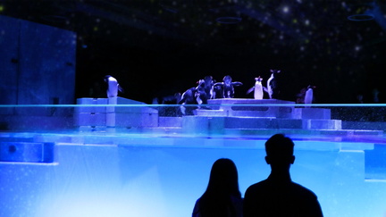 Aquarium of Love
