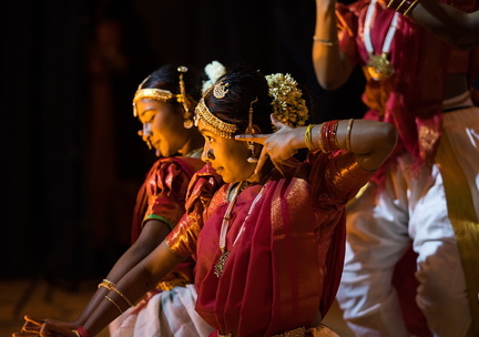 Thai Pongal Festival
