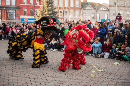 Lunar-New-Year..