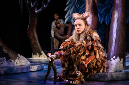 The Gruffalo's Child