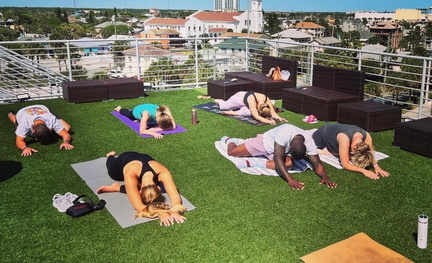 Yoga and Mimosa
