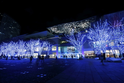 The City of Light Illuminating the Future