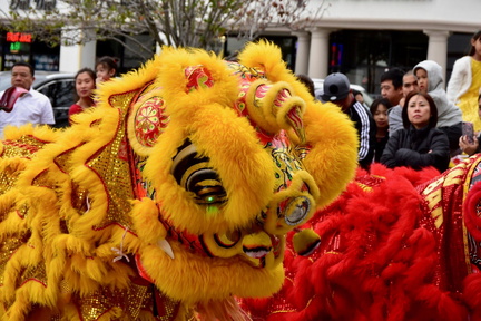 Lunar New Year Celebration
