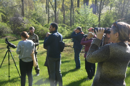 Birding Walk