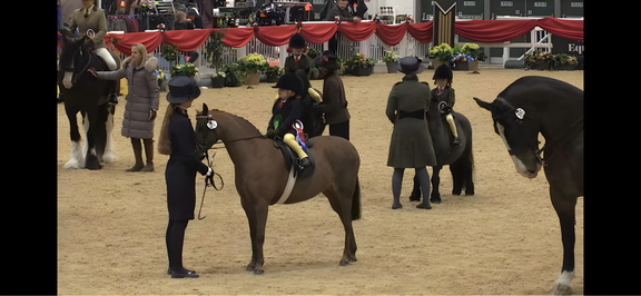 Winter Woolies Showing Show