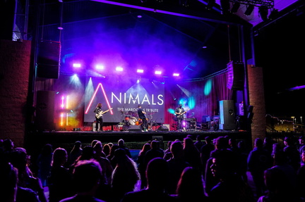 Animals The Maroon Five Tribute