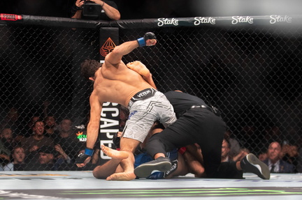 Fight Night Live! UFC 312