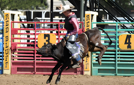 Red Bluff Round-Up