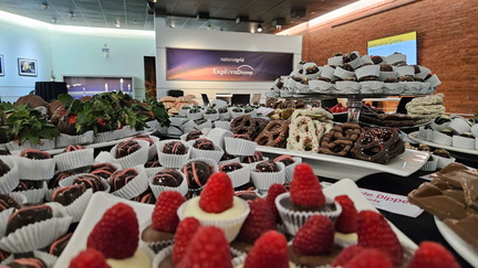 Chocolate Discovery