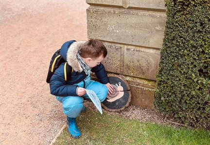 Half-term bug trail