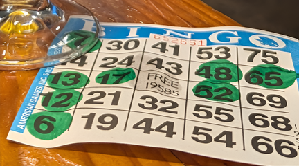 Bingo With Budds