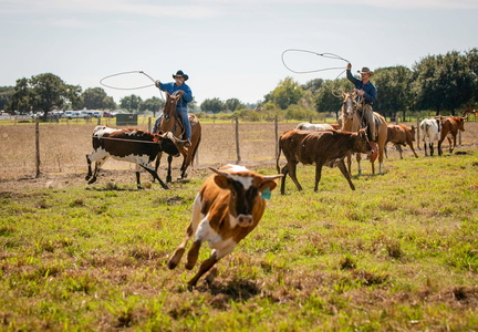 PioneerDay2023_375