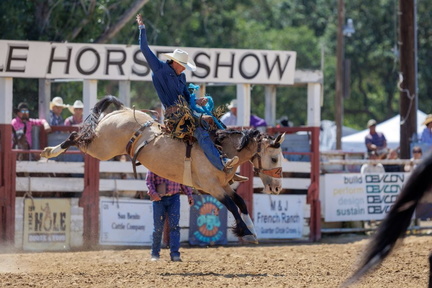 BroncRiding6-25-23-10-Copy-1024x683