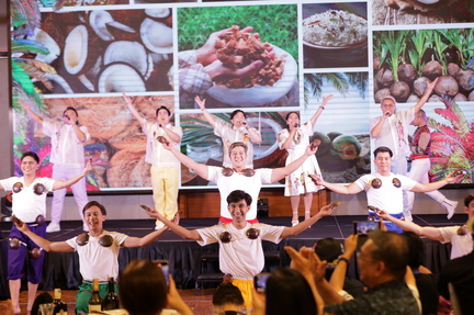 Ibalong Festival