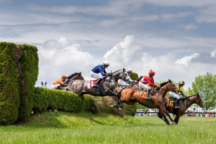 steeple-chase-racing