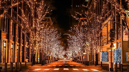 Marunouchi Illumination 2024
