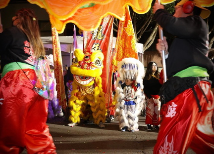 Chinese New Year Parade