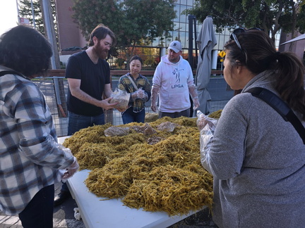 Mushroom Cultivation Workshop