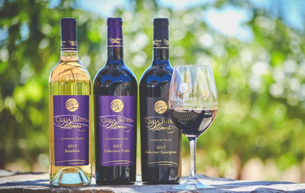 18th Annual Wines, Vines and Valentines