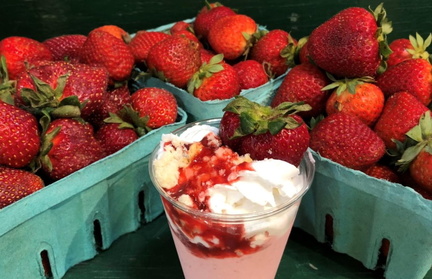 8th Annual Strawberry Fest