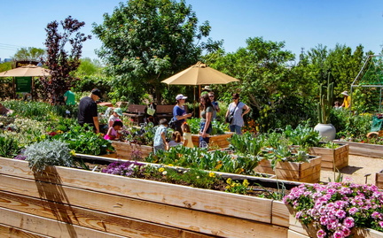 Desert Gardening 101