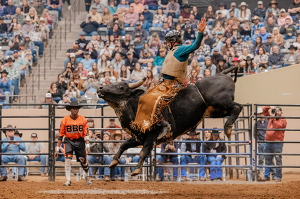 Bulls, Bands, and Barrels