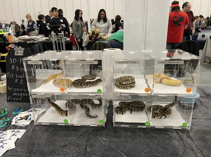 Kentucky Reptile Expo