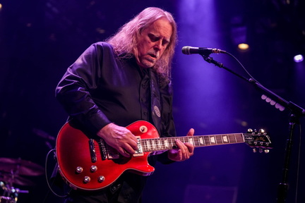 The Warren Haynes Band