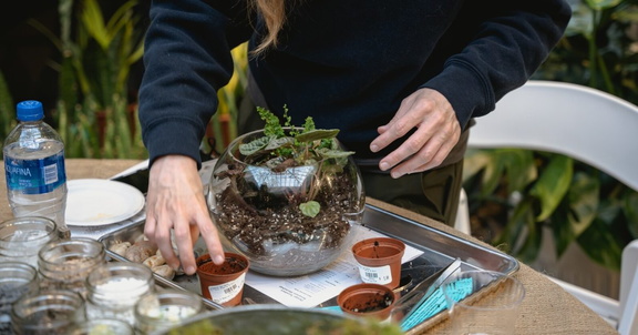Valentine's Terrarium Workshop