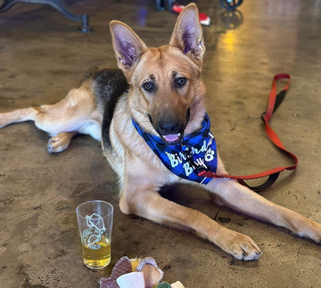 Pups and Pints