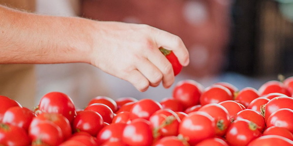 Ormond Beach Farmer's Market