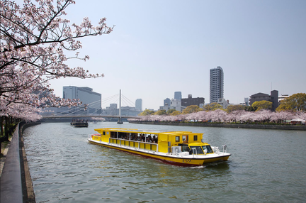 Special Cruise for the 2025 World Expo