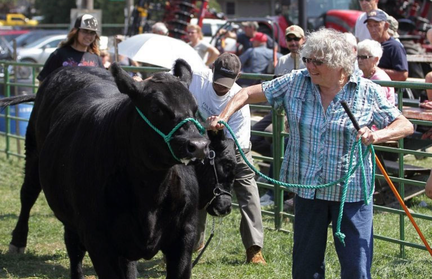 Harrow Fair