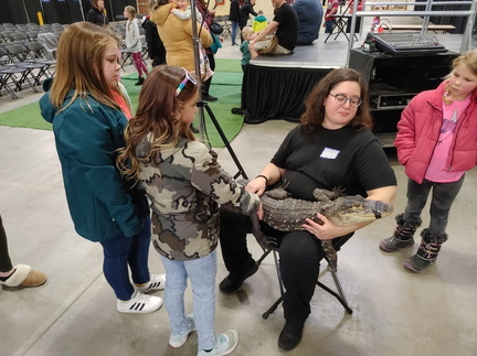 Wildlife Festival