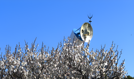 DSC 97861-640x378 enhanced.jpg