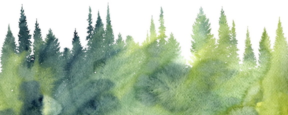 watercolor