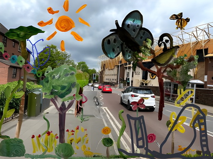 Re Rewild Wolverhampton