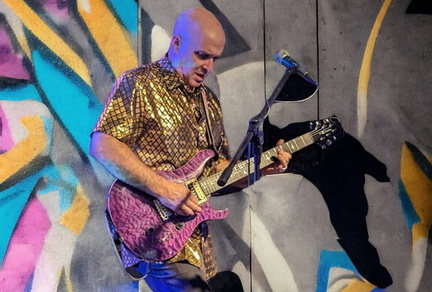 Chris Terp Solo