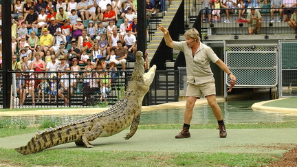 Steve Irwin Day
