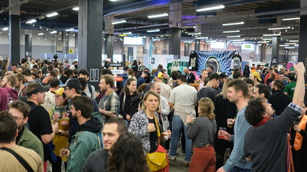 Lyon Beer Festival