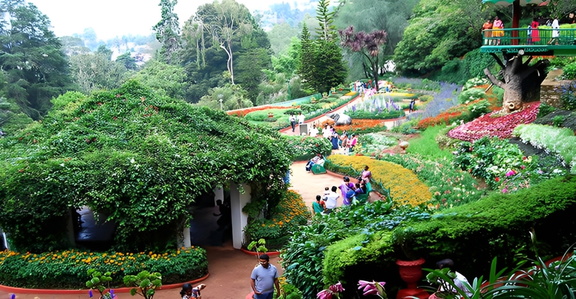 Flower Show (1)