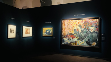 Munch. Il Grido Interiore